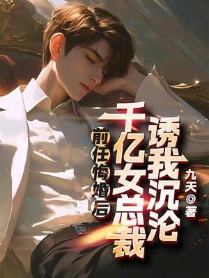 再嫁我一次!全文阅读