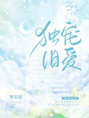 独宠旧爱第二部陆子初