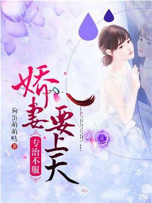 娇妻要上天