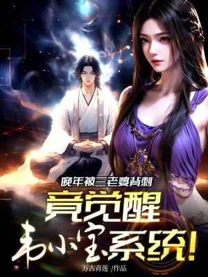 韦小宝第三个到底是谁