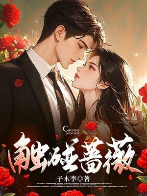 触碰蔷薇原著大结局