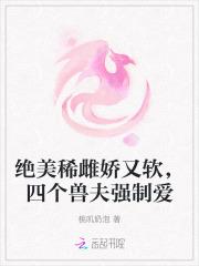 我的四个兽夫
