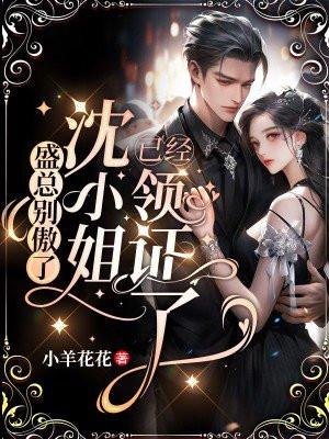 什么的女主叫盛小姐