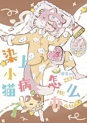 猫咪得了猫瘟自救方法