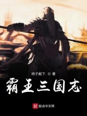 霸王三国志MD原版