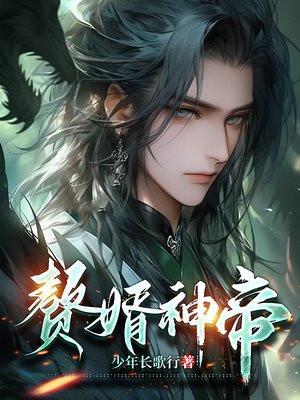 赘婿神皇