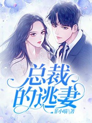四神集团2首席总裁的逃妻