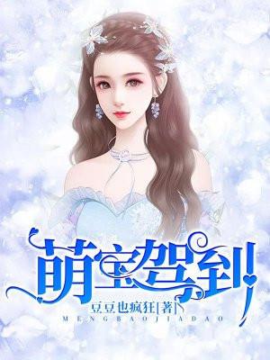 萌宝驾到电视剧