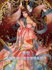 毛绒绒受的
