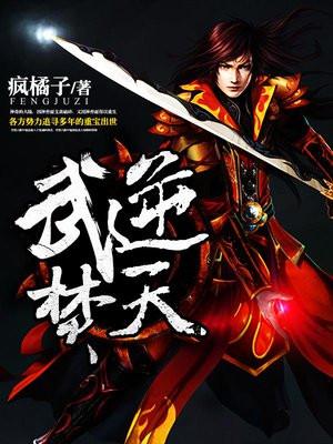 武逆焚天境界