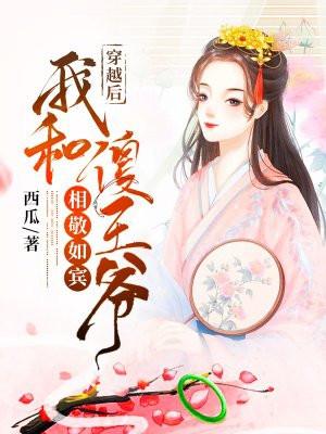 和傻王爷有关的