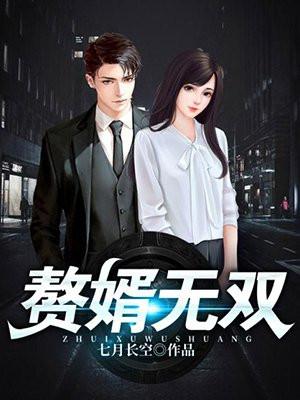 赘婿无双电视剧上映时间