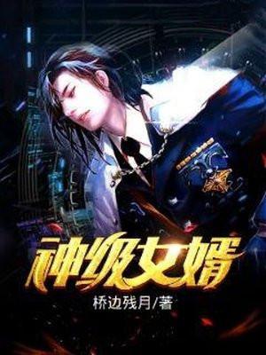 神级女婿全集
