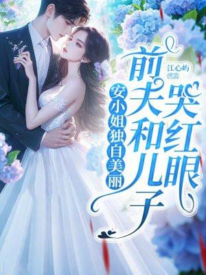 总裁安小姐已经改嫁了