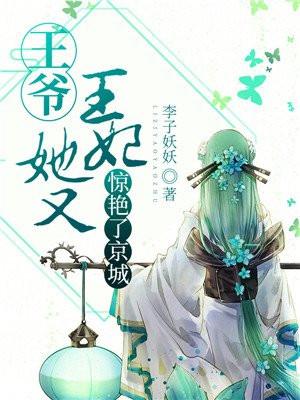 王妃她又惊艳了京城免费阅读