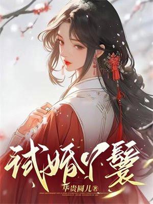 试婚丫鬟全文苏小小