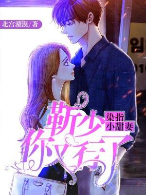 靳少追妻路漫漫简染染