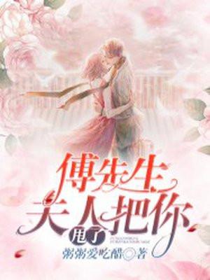 傅先生你夫人又凶残