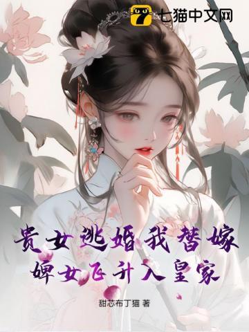替嫁贵妃