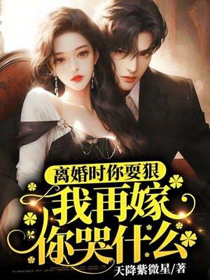 我再嫁你哭什么 天降紫微星