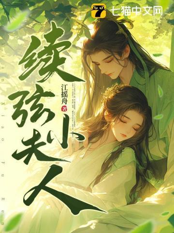 续弦小夫人纵横