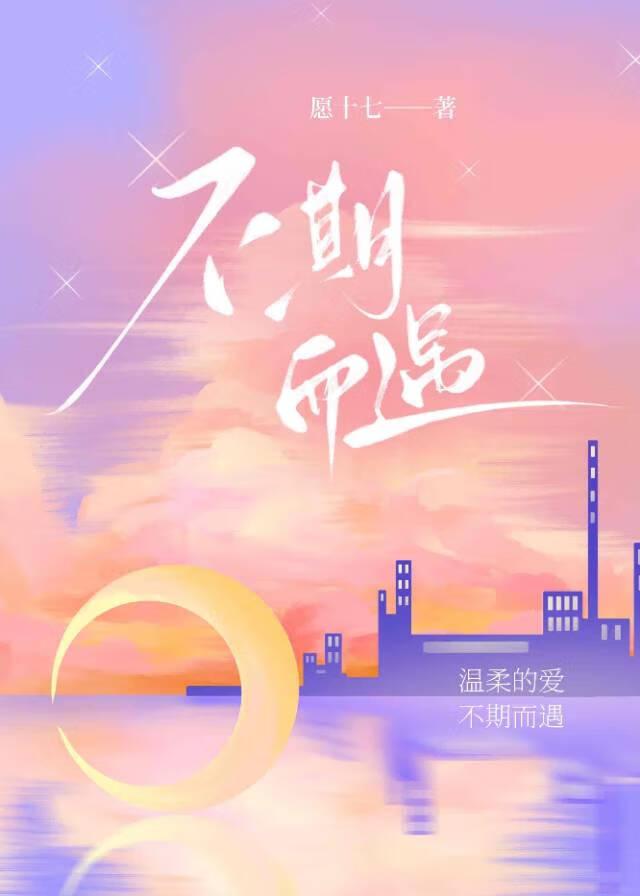 不期而遇电视剧