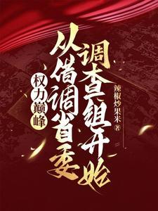 权力巅峰从借调省委调查组开始