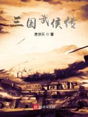三国之武侯传人全结局