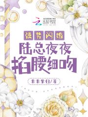 强势闪婚陆总夜夜掐腰细吻