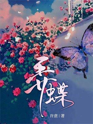 曲纹稻弄蝶