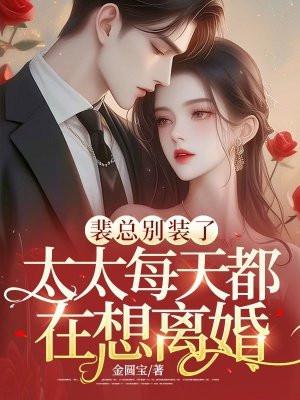 裴总是哪本