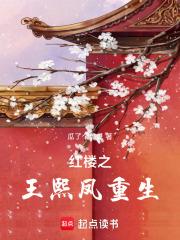 红楼之王熙凤重生归来