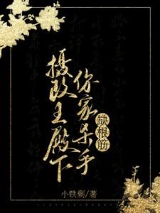 摄政王殿下你家杀手缺根筋动漫