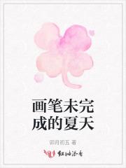 未完成的夏天在线阅读