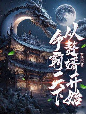 从赘婿开始TXT