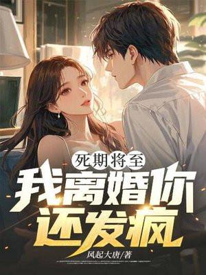 我离婚你还发疯