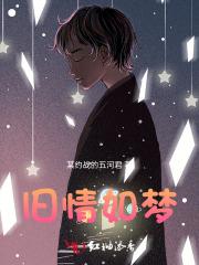 旧情如梦 半片青花 刺进