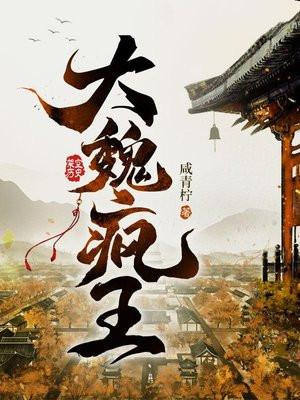 大魏疯王女主推倒顺序