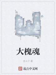 大槐魂完结了吗
