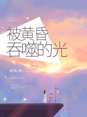 被黄昏的众神抬入不朽的太阳