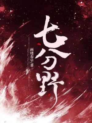 七分野大结局
