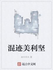 混在美利坚的日子txt