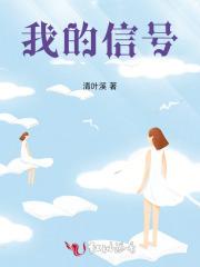 我的信号灯