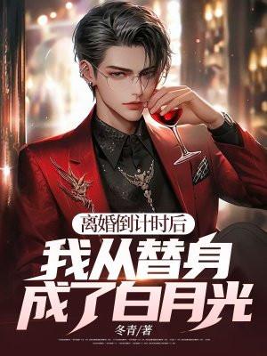 离婚倒计时不厌免费读