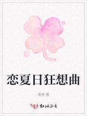 夏日狂想曲零攻略