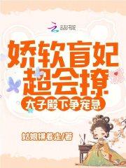 太子殿下争宠急