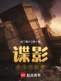 谍影命令与征服TXT免费