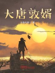 大唐帝婿笔趣阁