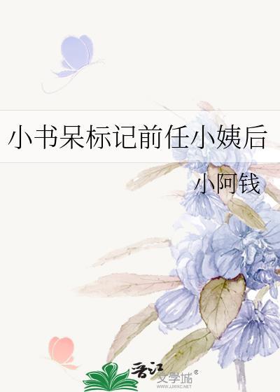 小书呆标记前任小姨书评
