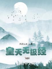 太极无极皇极
